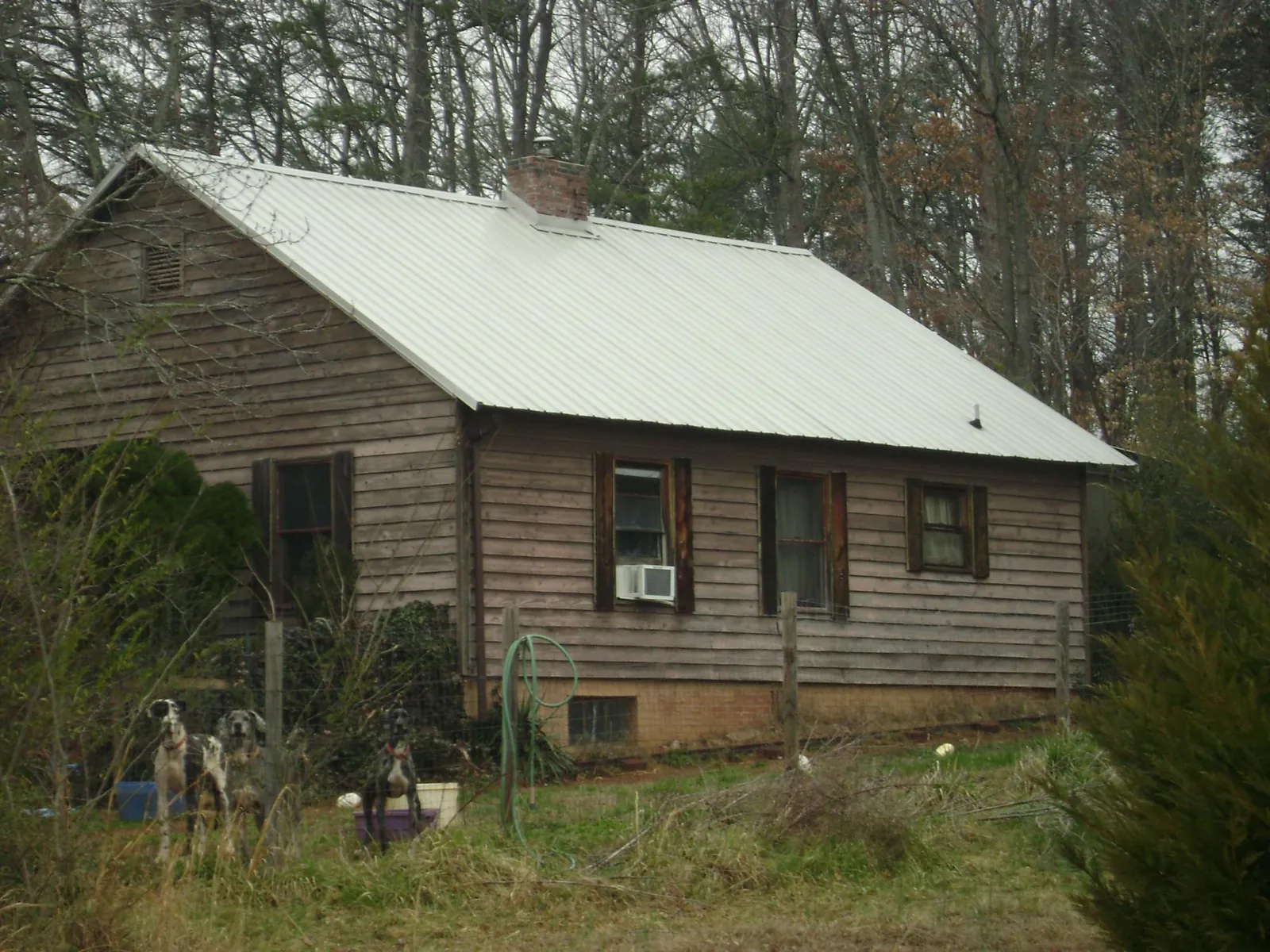 White metal roof on an old wood sided farmhouse, from a Asphalt Shingle Roof Repair job in Haubstadt